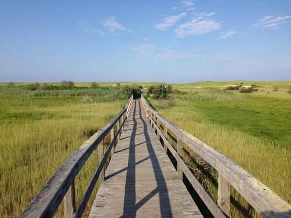 Pochet Association - Nauset Beach Access - Central Air (2161) - Image 3