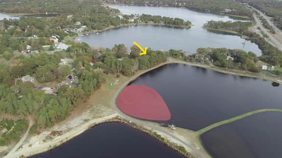 Close to Bass River and Follins Pond With Water Access (2232) - Image 3