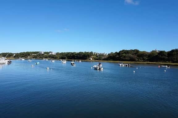On the water with amazing views!  Dogs welcome! RPMS014 - Image 2
