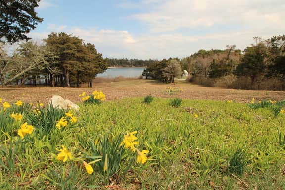 Secluded Waterfront With Direct Private Beach Access (2295) - Image 4