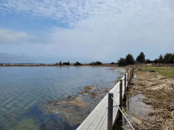 Seaside cottage with private beach RPMS109 - Image 2