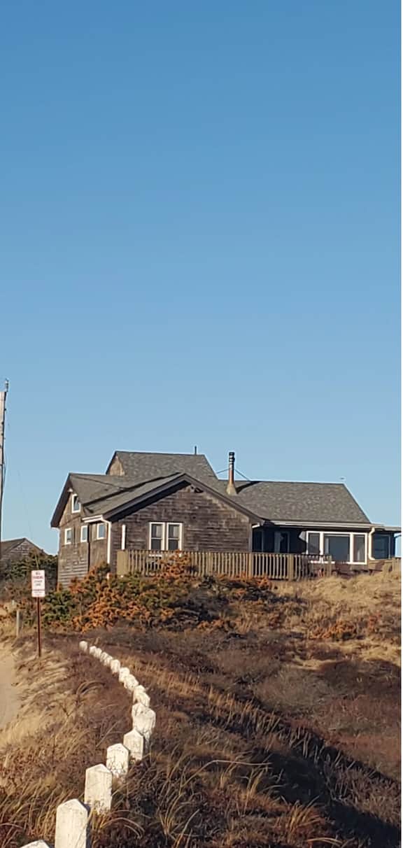 Ocean View in the National Seashore (CS0014) - Image 3