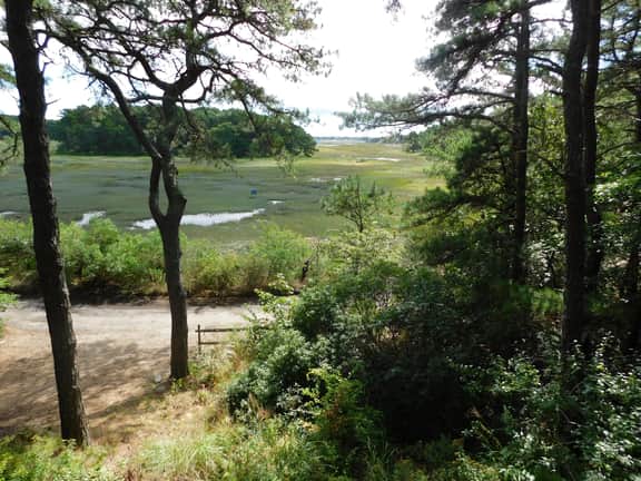 Marsh front, Gorgeous Waterview and Deck (CS0025) - Image 5