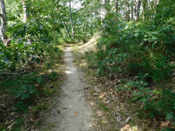 Path to Pond, Private Location, Sweet Home! (CS0031) - Image 2