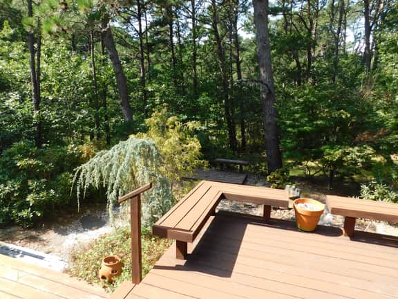 Gorgeous Light and Airy 4 Beds in the woods! (CS0030) - Image 2