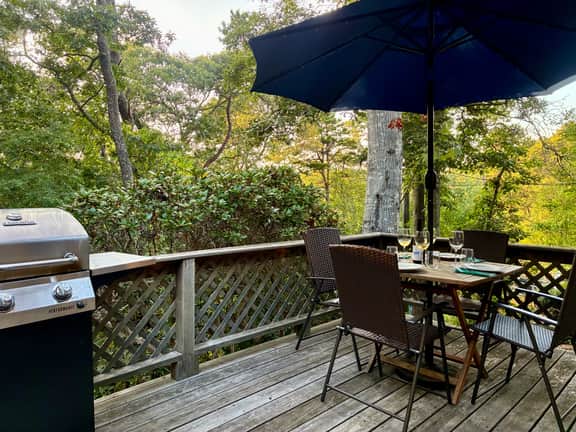 Cozy Cottage by Molls Pond  2409 - Image 3