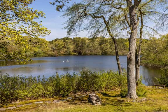 Swan Dive - Waterfront Retreat in Cataumet RPLO032 - Image 3