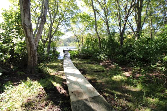 Secluded, Rustic and Quiet in the National Seashore (1424) - Image 3
