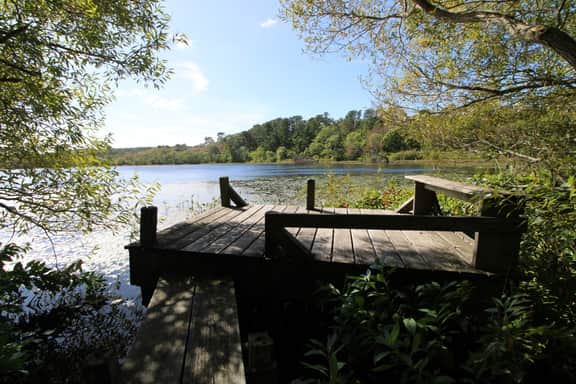 Secluded, Rustic and Quiet in the National Seashore (1424) - Image 4