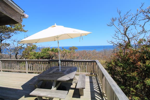 Custom Mid-century Retro Style in the National Seashore (1324) - Image 1