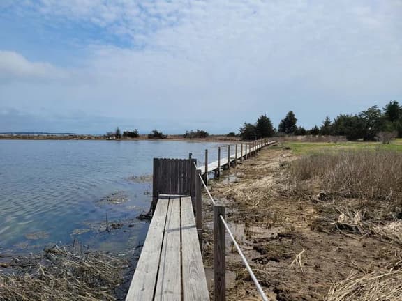 Seaside cottage with private beach RPMS109 - Image 1