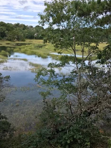 Private, marsh view, AND close to town!  (CS0051) - Image 1